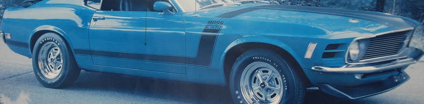 1970 70 Boss 302 Stripe Kit